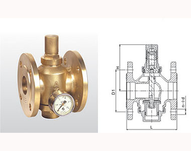 w98Źʻͭʽɵѹṹͼ