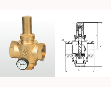 w98Źʻͭʽɵѹṹͼ