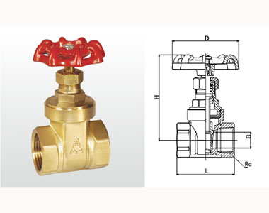 w98Źʻͭբ (ͨףṹͼ