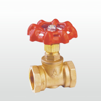 w98ŹʻֹͭJ11W-16T(302)