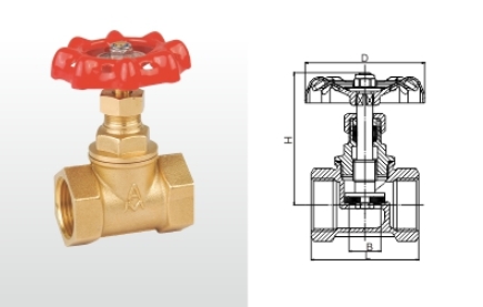 w98Źʻֹֹͭطṹͼ