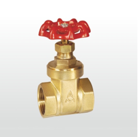 w98Źͭբ169ͼƬչʾ